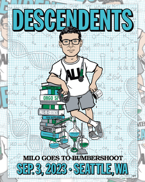 DESCENDENTS - BUMBERSHOOT